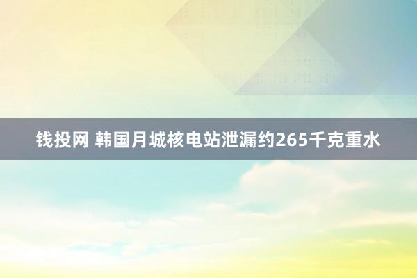 钱投网 韩国月城核电站泄漏约265千克重水