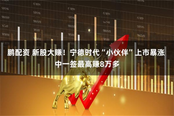 鹏配资 新股大赚！宁德时代“小伙伴”上市暴涨 中一签最高赚8万多