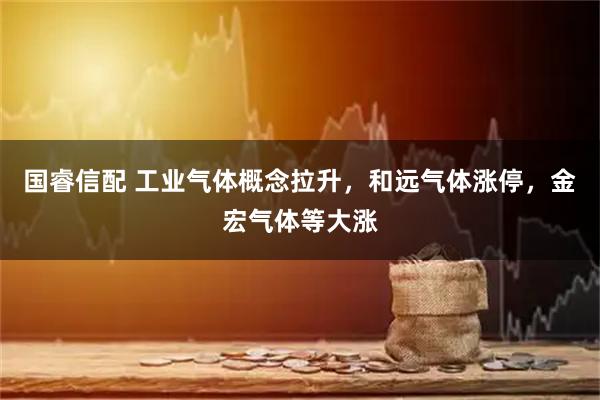 国睿信配 工业气体概念拉升，和远气体涨停，金宏气体等大涨