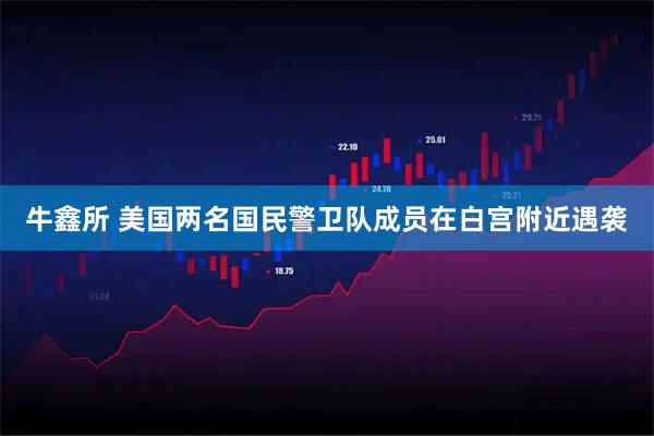 牛鑫所 美国两名国民警卫队成员在白宫附近遇袭